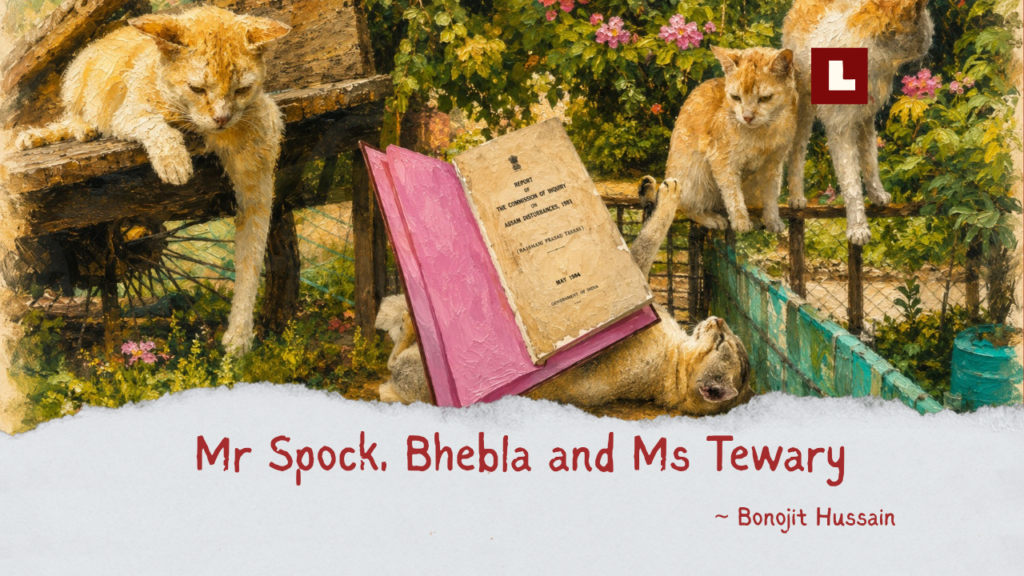 Mr. Spock, Bhebla and Ms. Tewary 1 Bono Art