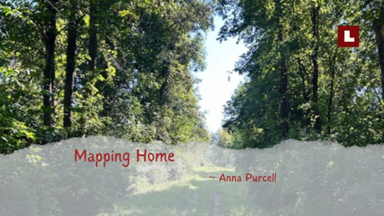 Mapping home